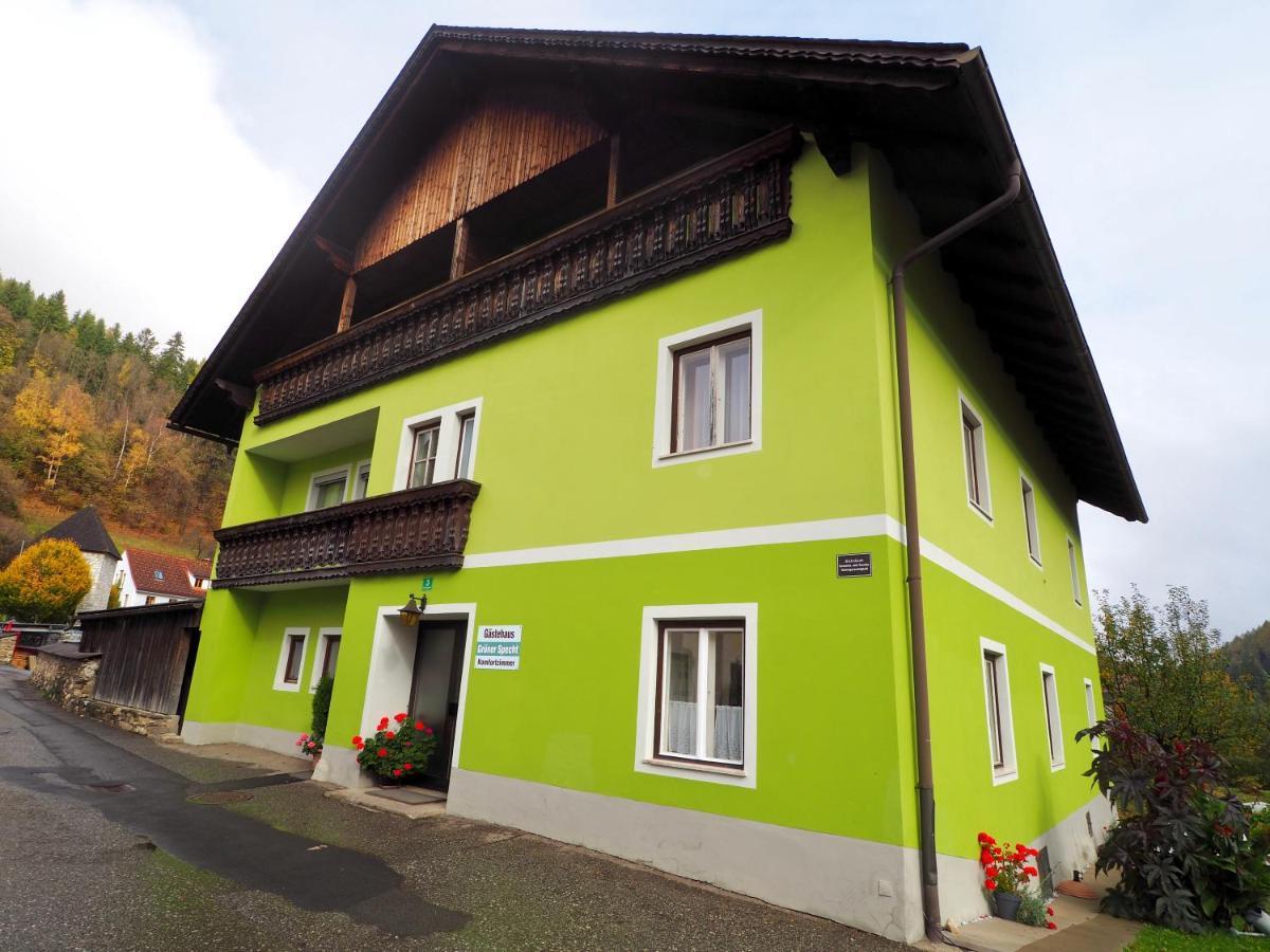 Gasthof Zum Gruenen Specht Oberzeiring Esterno foto